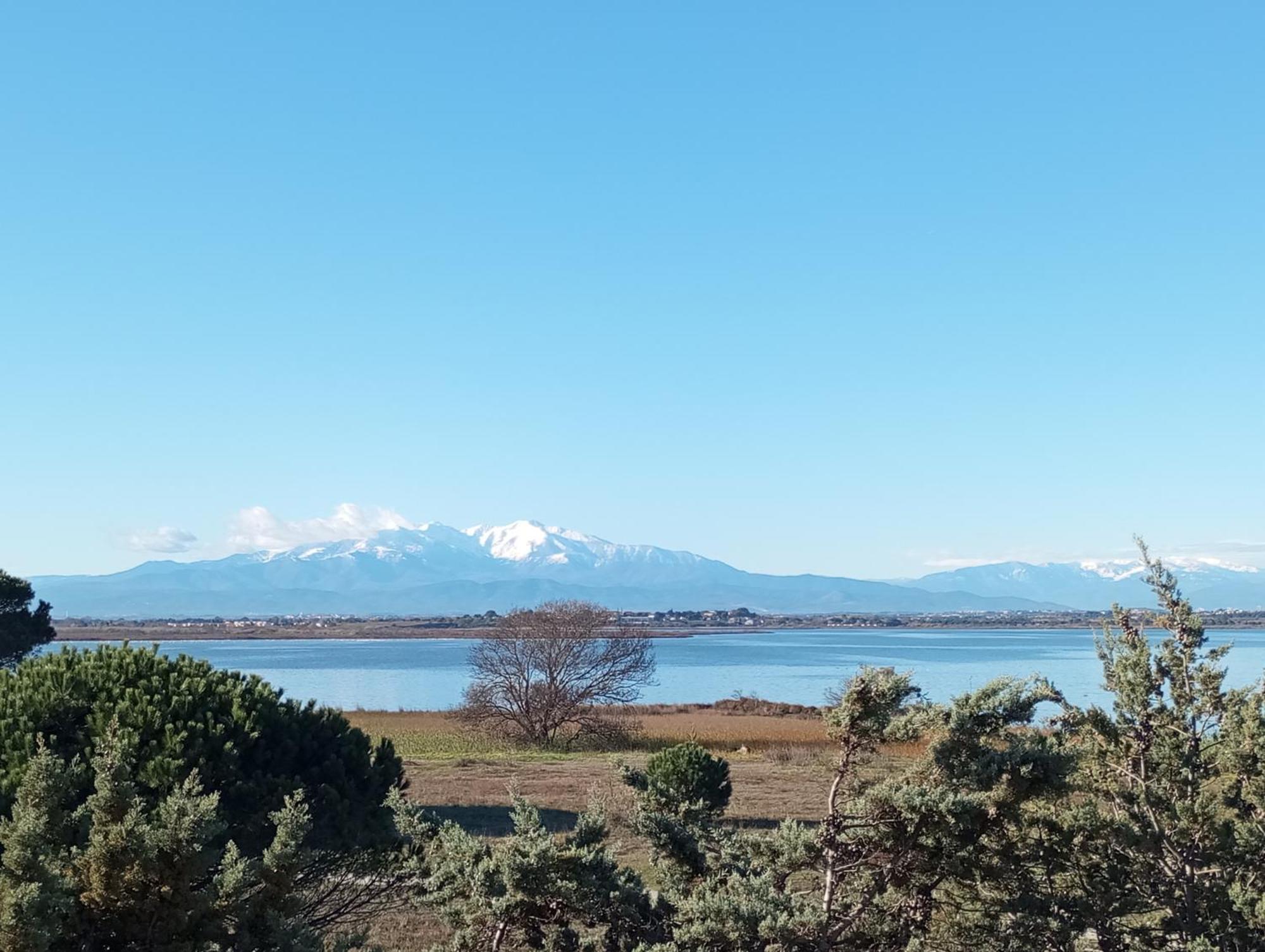 Apartmán Le Capestang Canet-en-Roussillon Exteriér fotografie