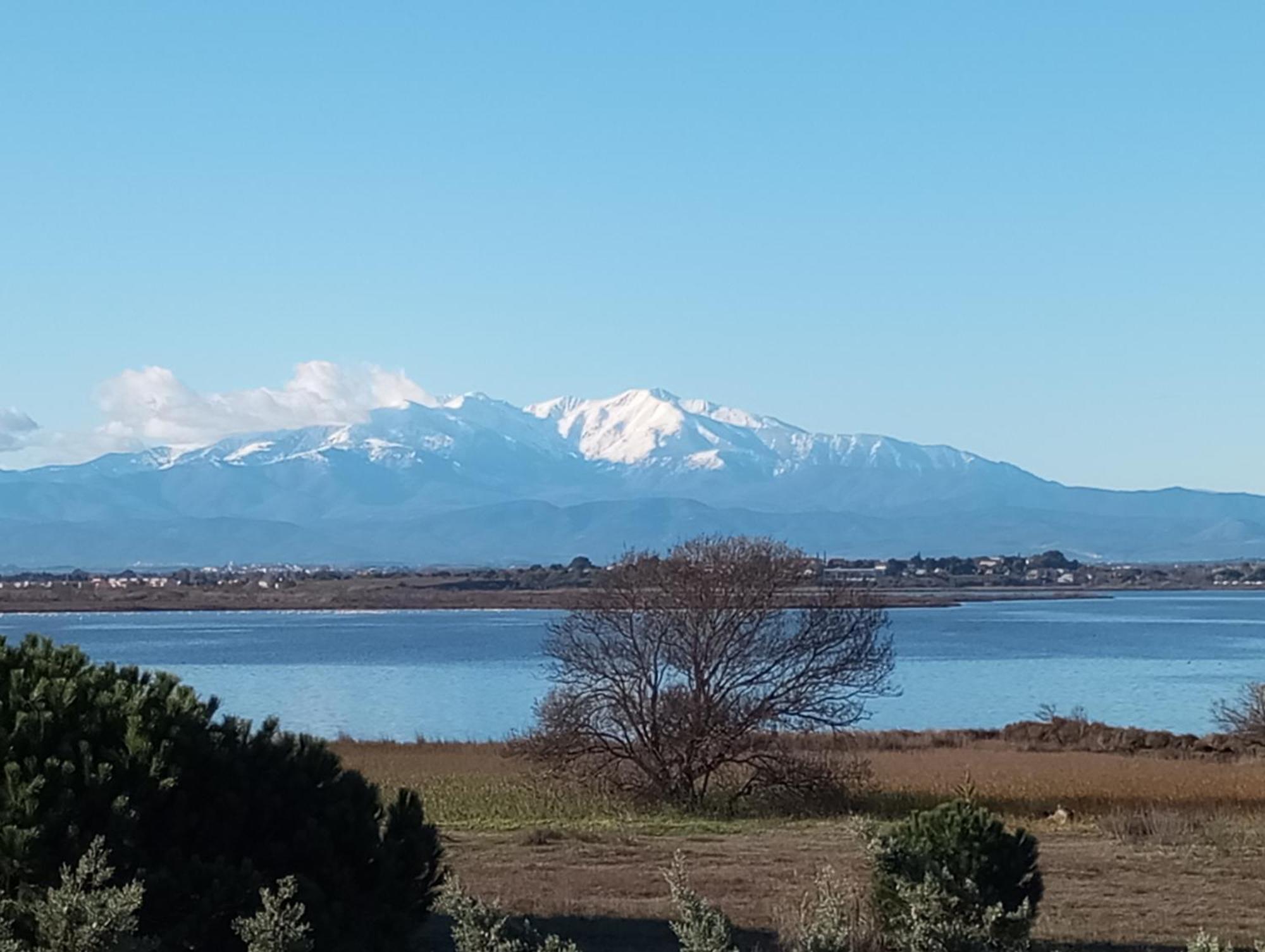 Apartmán Le Capestang Canet-en-Roussillon Exteriér fotografie